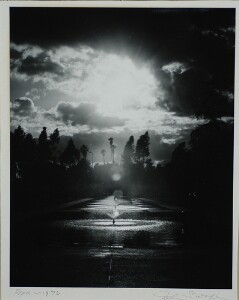 Reflection Pool, Norton Simon Museum