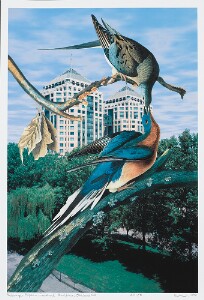 Auduboniana: Passenger Pigeon, Federal Building, Oakland, CA